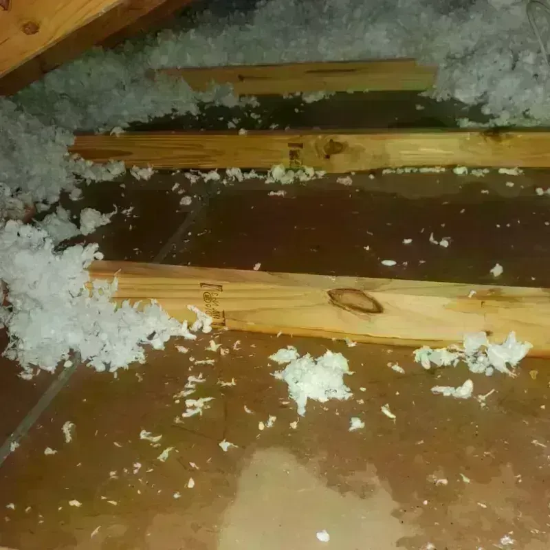 Attic Water Damage in West Branch, MI