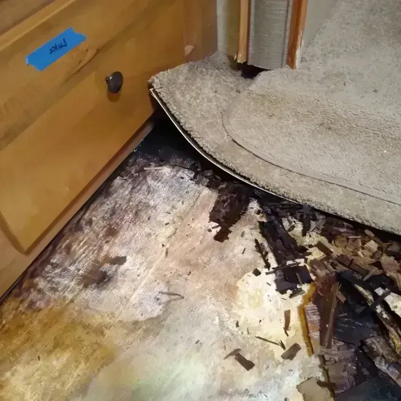 Wood Floor Water Damage in West Branch, MI